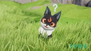 伊莫小号鸥怎么样