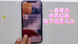 苹果手机如何关闭语音控制快捷键