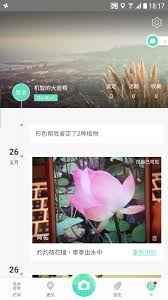 形色app怎样删除待鉴定图片