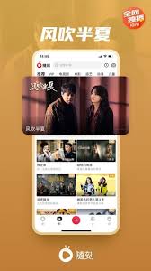 爱奇艺pps不能缓存电视剧的原因