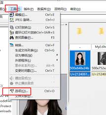 ACDSee如何显示隐藏文件