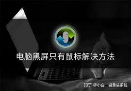 电脑开机黑屏只有鼠标怎么办