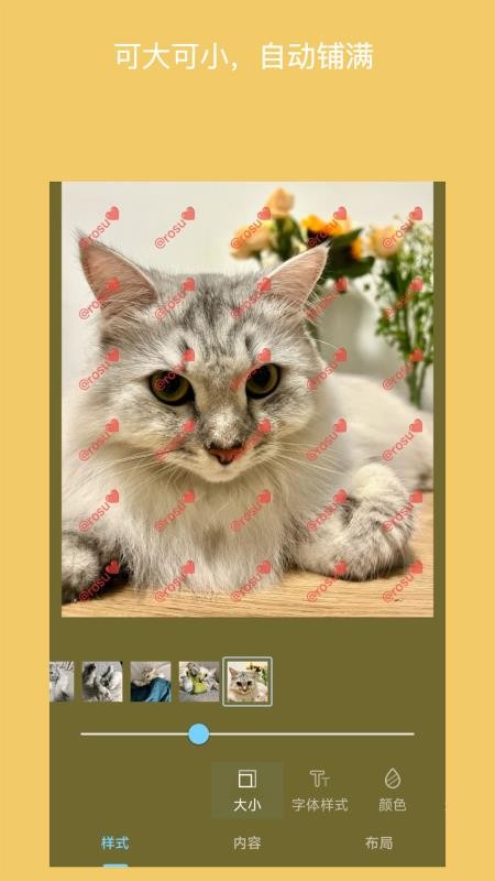 简单水印照片会员免登录