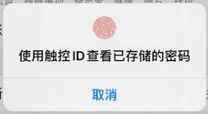 如何关闭苹果Safari自动填充功能