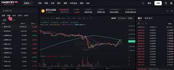 国内买币用什么软件