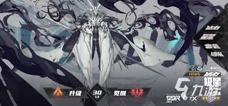 晴空之下极星怎么介绍极星角色