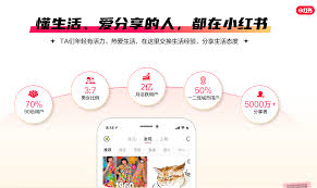 小红书达人合作怎么私信