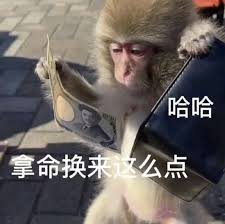 吗喽是什么意思