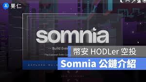 somi币的中文名是什么