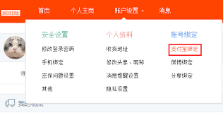 怎么查支付宝账号