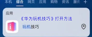 玩机技巧在哪里可以打开