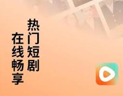 红果在ipad上无法全屏怎么办