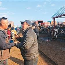 牲畜经纪人属于哪个职业的新增工种