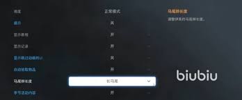 剑星PC版画面怎么设置
