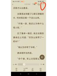 番茄免费小说网络错误是怎么回事