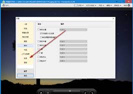 HoneyView如何设置滚动鼠标放大缩小图片