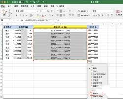 如何对excel数据进行脱敏