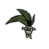 饥荒曼德拉草有什么作用