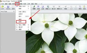 FastStone Capture怎么把照片弄成底片