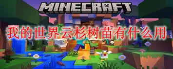 我的世界云杉树苗用途是什么