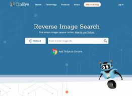 tineye反向图片搜索引擎是什么
