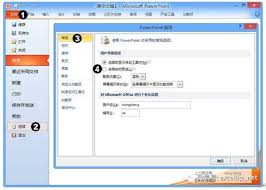 如何在PPT中启用实时预览