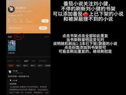 番茄小说怎么点击关注小说作者