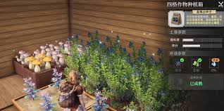 荒原曙光如何照顾作物