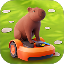 宠物消不停先行服