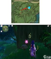 原神水天丛林怎么解密