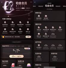 如何获得美团黑金会员