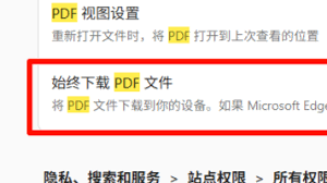 火狐浏览器不能打开pdf文档怎么办