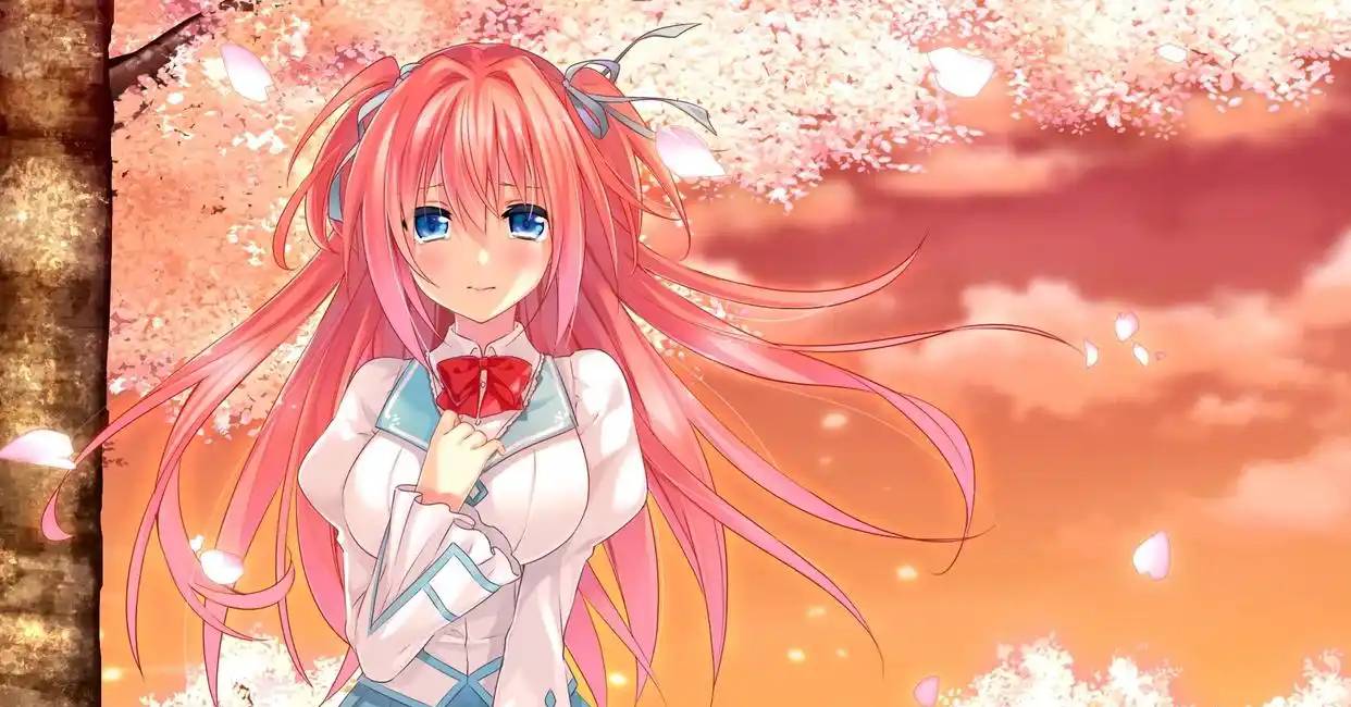 春天的谎言精简版