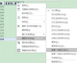 如何使用excel数据透视表进行累计求和