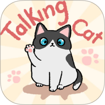 趣味找猫猫高画质版