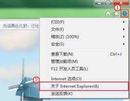 如何清除ie浏览器缓存