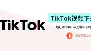 TikTok视频素材丢失怎么办