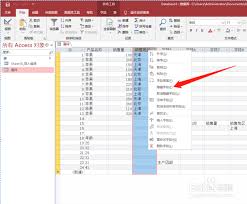 access怎样隐藏列