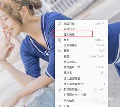 2345看图王如何调整图片亮度
