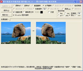 批量翻转照片有什么简便方法