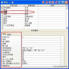 如何将access数据库姓名字段设置为必填字段