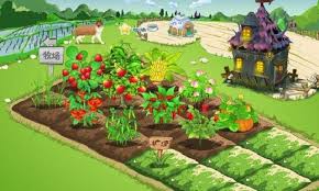 qq农场从哪一年开始