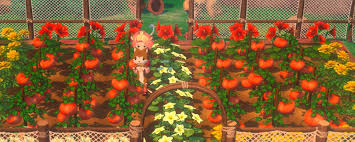 牧场物语风之繁华集市农作物特点是什么