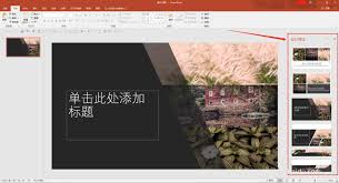 PPT怎样快速排版多张图片
