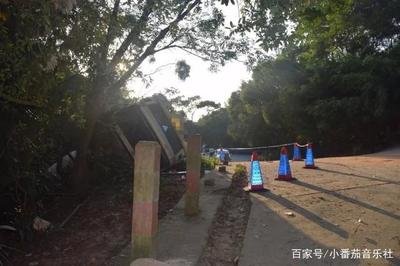 番茄音乐如何开启车载模式