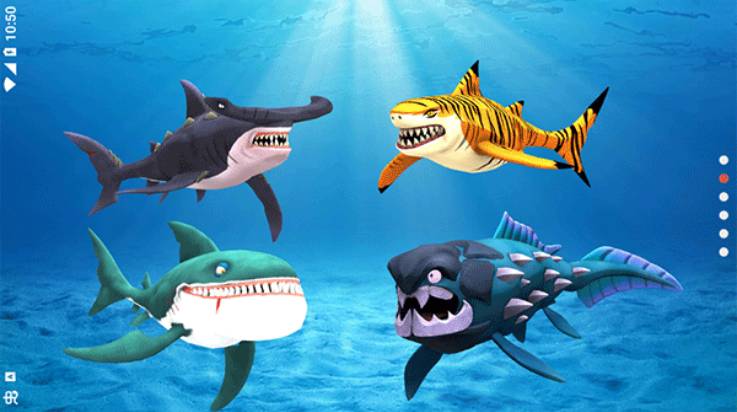 我的鲨鱼秀My Shark Show正版