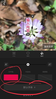 天天向商怎么添加文字