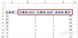 如何设置excel数据透视表求和项