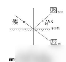 镜子能成像是因为光的什么