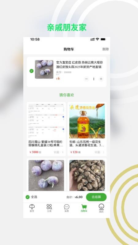 亲戚朋友家正式版